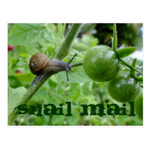 Carte postale de snail mail