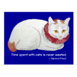 Carte postale de temps de chat