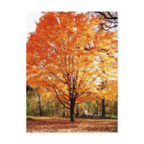 Carte postale de thanksgiving de feuilles d'automn