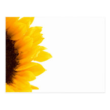 carte postale de tournesol par Petr Kratochvil