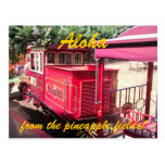Carte postale de train d'ananas d'Hawaï