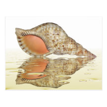 Carte postale de trompette de Triton