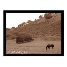 Carte postale de vallée de Carmel