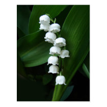 Carte postale du muguet cartes postales
