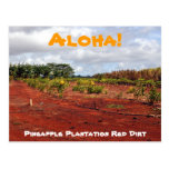 Carte postale hawaïenne de plantation d'ananas