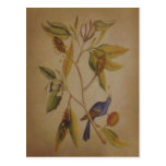 Carte postale/invitation bleues de ~ d'oiseau