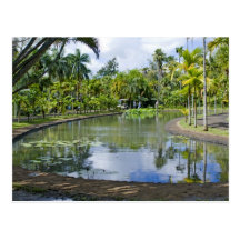 carte postale jardin tropical