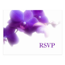 Carte postale l'épousant pourpre de RSVP cartes postales