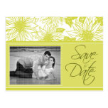 [Carte postale] les tournesols de vert olive font 