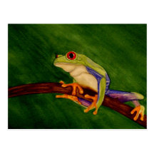 Carte postale observée par rouge de grenouille d'a