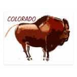 carte postale peinte du Colorado de bison