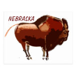 carte postale peinte du Nébraska de bison