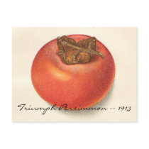 Carte postale vintage de kaki