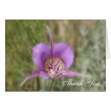 Carte pour notes de blanc de fleur sauvage