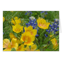 Carte pour notes de Bluebonnet et de lin de fleur 