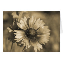 Carte pour notes de fleur sauvage de sépia