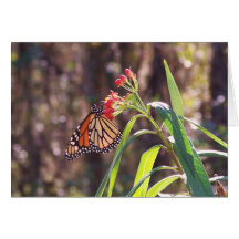 Carte pour notes de papillon de monarque