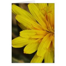 Carte pour notes jaune de fleur sauvage (2010)
