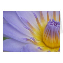 Carte pour notes lilas de nénuphar