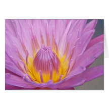 Carte pour notes rose de nénuphar