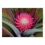 Carte rouge d'ananas de bébé