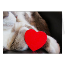 Carte rouge de pattes de coeur et de chats