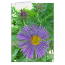 Carte vierge de flottement de fleur