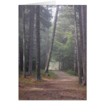 Carte vierge de forêt