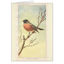 Carte vintage de Robin