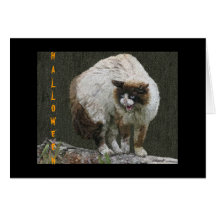 Cartes de chat de Halloween