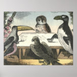 Cartes de jeu