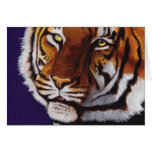 Cartes de note de tigre