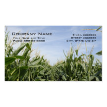 Cartes de visite d'agriculteur de maïs cartes de visite professionnelles