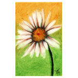 Cartes de visite nature