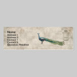 Cartes de visite fascinants de paon cartes de visite