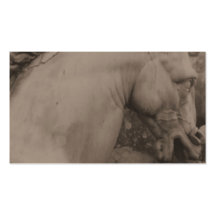 Cartes de visite italiens de cheval de la Renaissa Cartes De Visite Personnelles