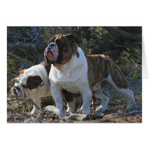 Cartes de voeux royales de bouledogues