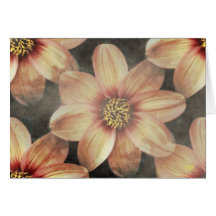 Cartes florales en pastel douces
