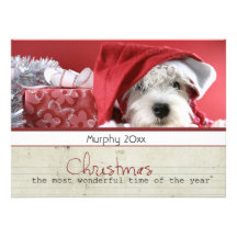 cartes photos d'animal familier de Noël de salutat Faire-parts