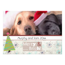 cartes photos d'animal familier de Noël de salutat Bristol