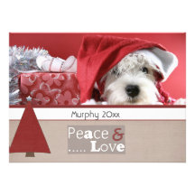 cartes photos d'animal familier de Noël de salutat Carton D'invitation