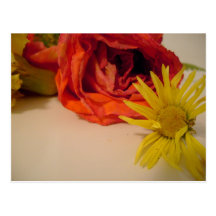 cartes postales de fleur