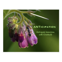 Cartes postales de motivation de gratitude de four