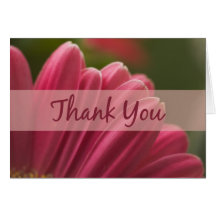 Cartes roses de Merci de marguerite de Gerbera