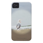 cas criard de mouette de l'iPhone 4 Étuis iPhone 4