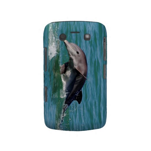 Cas de compagnon de courbe de Blackberry de dauphi Coques Blackberry Bold