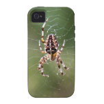 Cas de l'iPhone 4 d'araignée Coques Vibe iPhone 4