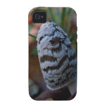 Cas de l'iPhone 4 de champignon Coque Case-Mate iPhone 4