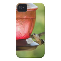 Cas de l'iPhone 4 de colibri en vol Coque iPhone 4 Case-Mate