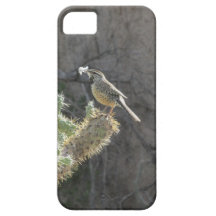 Cas de l'iPhone 5 de roitelet de cactus Coques iPhone 5 Case-Mate